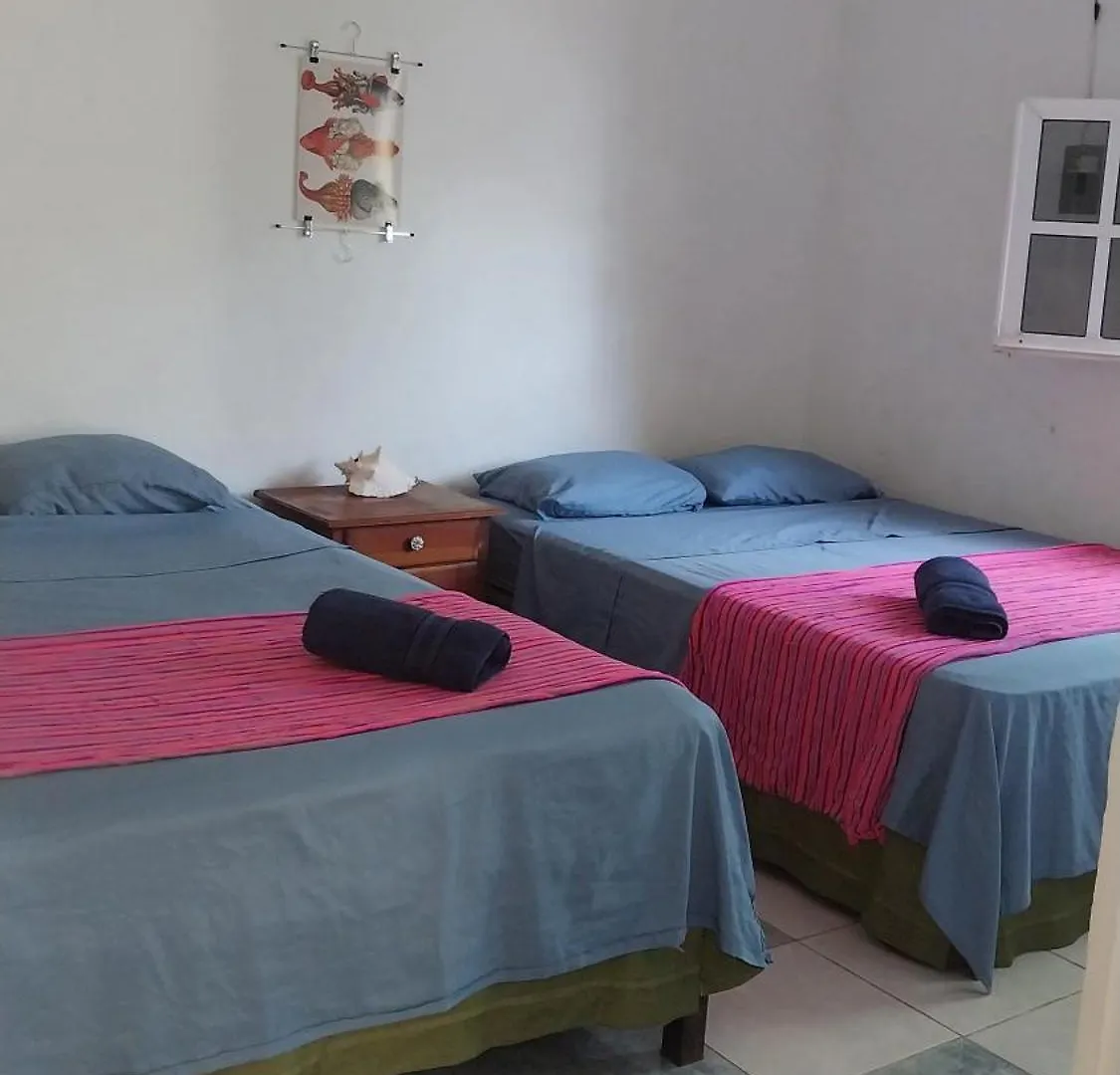 ホームステイ Casamaya Hostel & Diving コスメル メキシコ