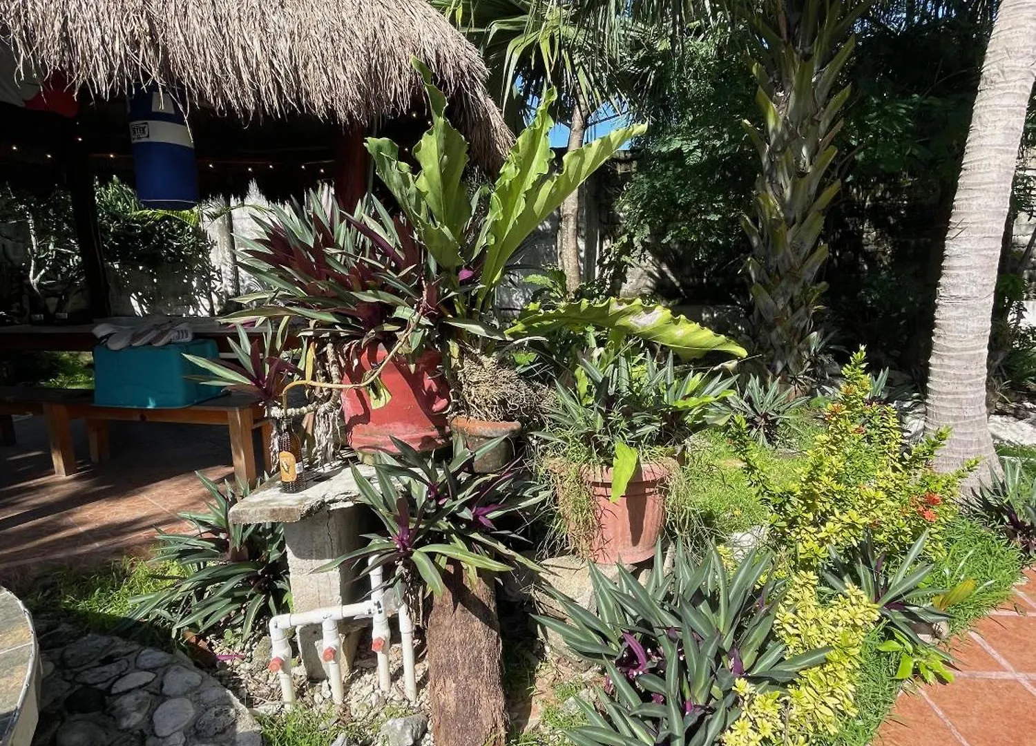 Casamaya Hostel & Diving コスメル 0*,
