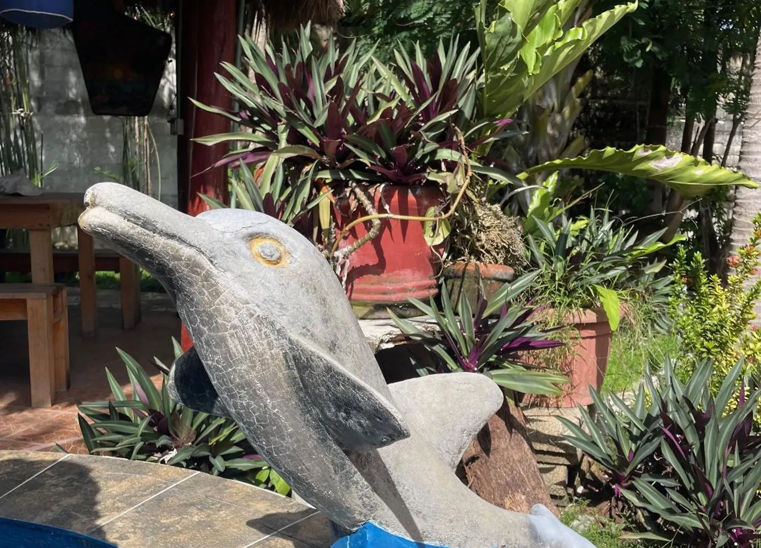 Casamaya Hostel & Diving コスメル ホームステイ