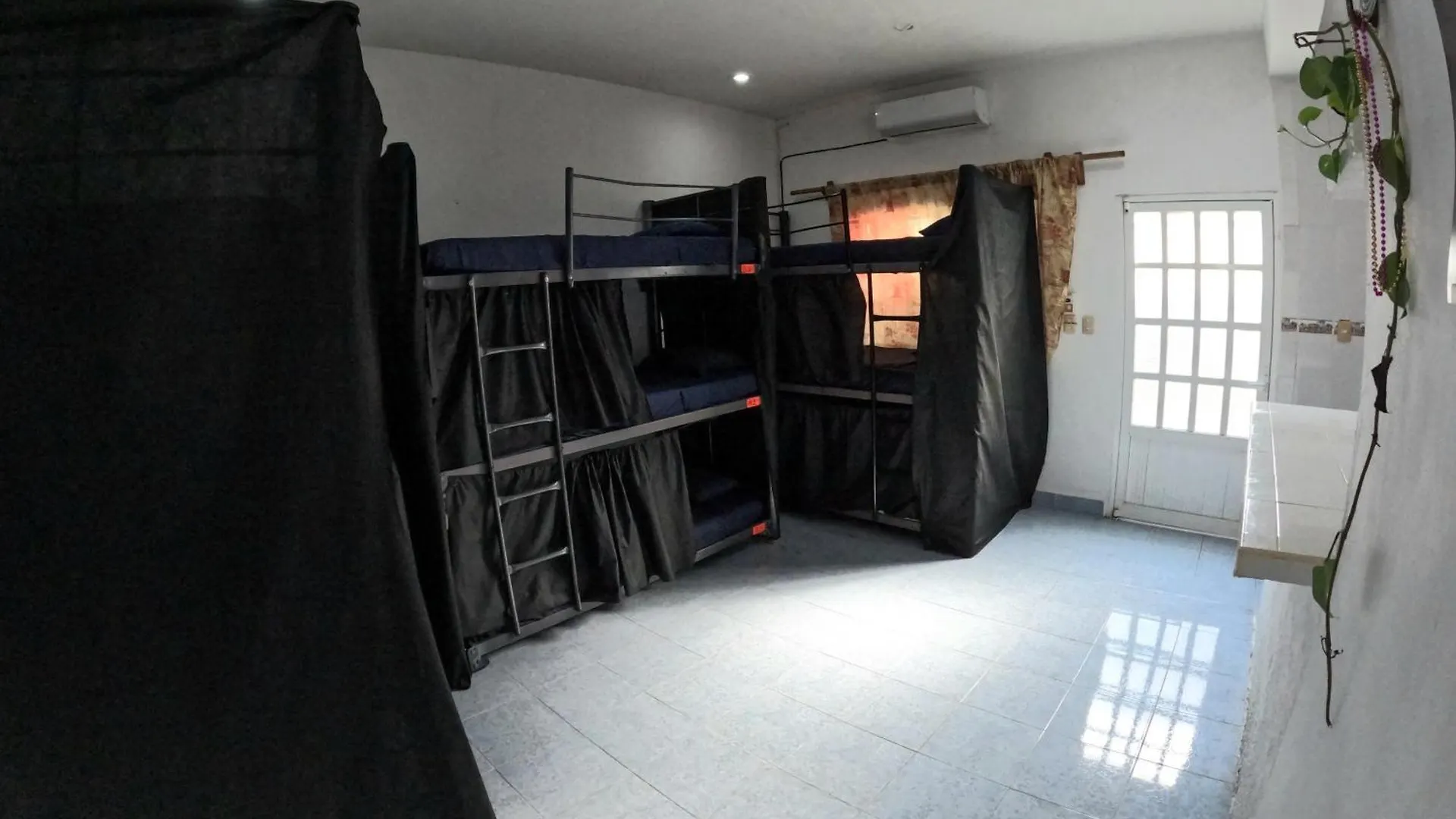 Casamaya Hostel & Diving コスメル ホームステイ
