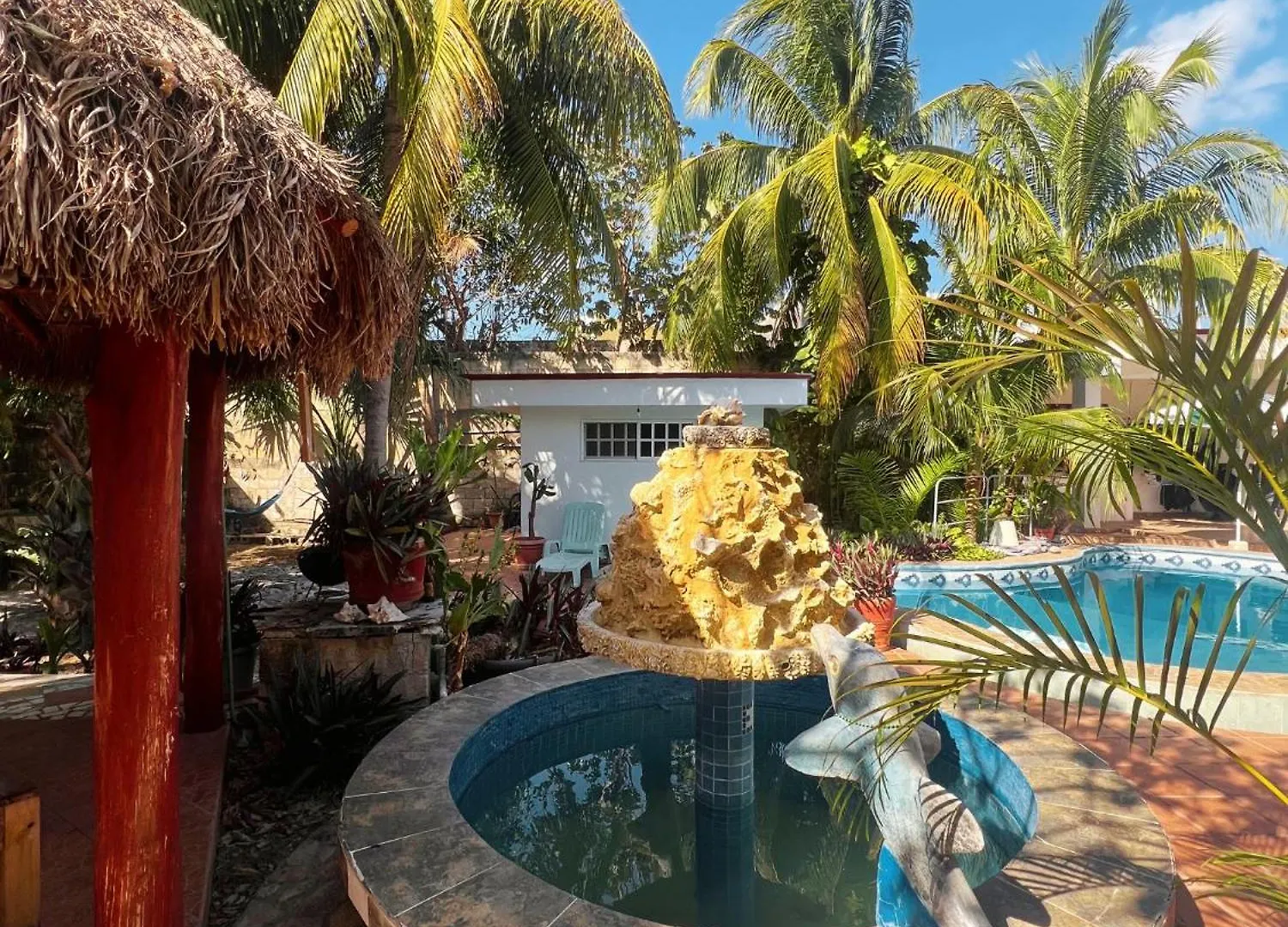 ホームステイ Casamaya Hostel & Diving コスメル